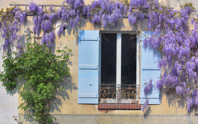 Vivre en Provence